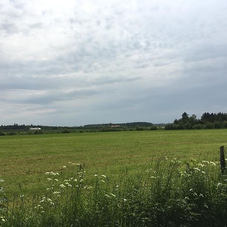 Uggerby Skovhuset 빌라 외부 사진