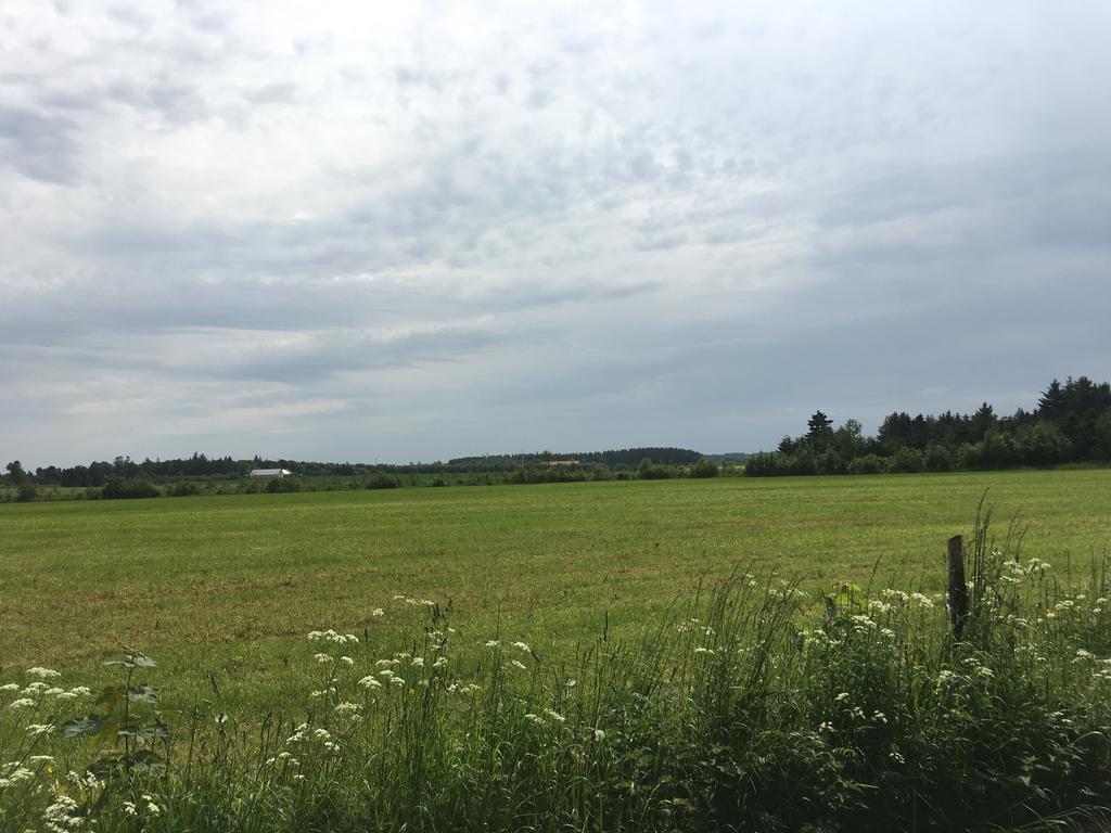 Uggerby Skovhuset 빌라 외부 사진