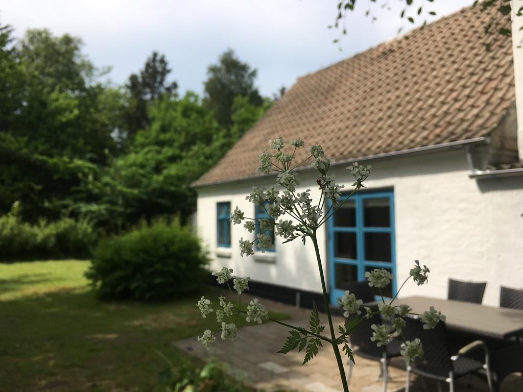 Uggerby Skovhuset 빌라 외부 사진