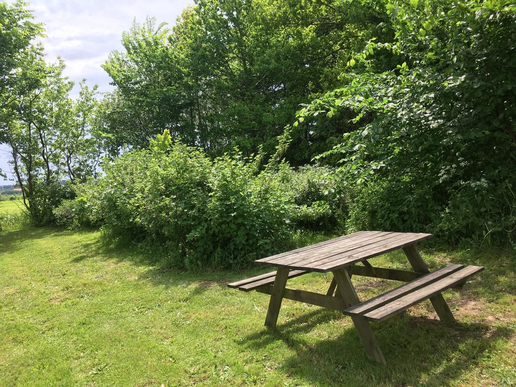 Uggerby Skovhuset 빌라 외부 사진